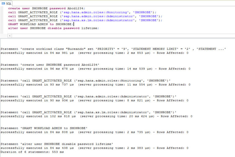SAP HANA Workload Management Buceando en la Memoria
